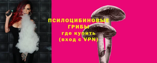 синтетический гашиш Арсеньев